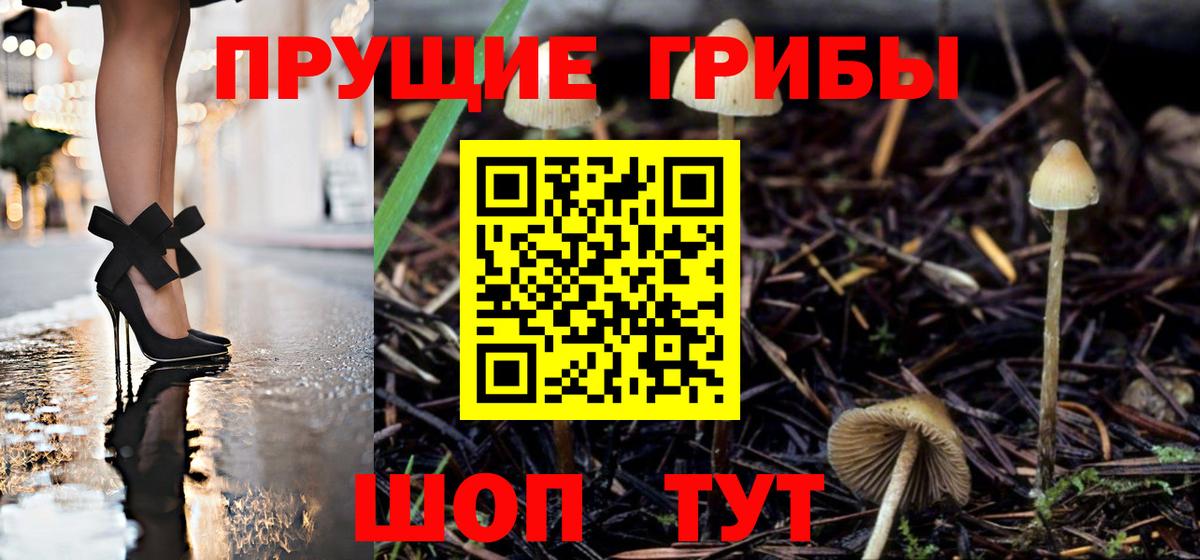 Псилоцибиновые грибы мицелий Всеволожск