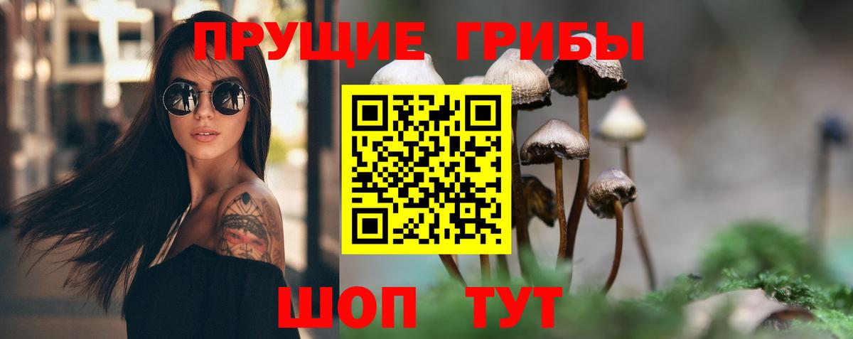 Псилоцибиновые грибы Psilocybe  Галлюциногенные грибы MAGIC MUSHROOMS  Всеволожск  Вход с VPN 
